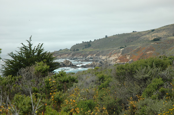 Soberanes Canyon 111.jpg